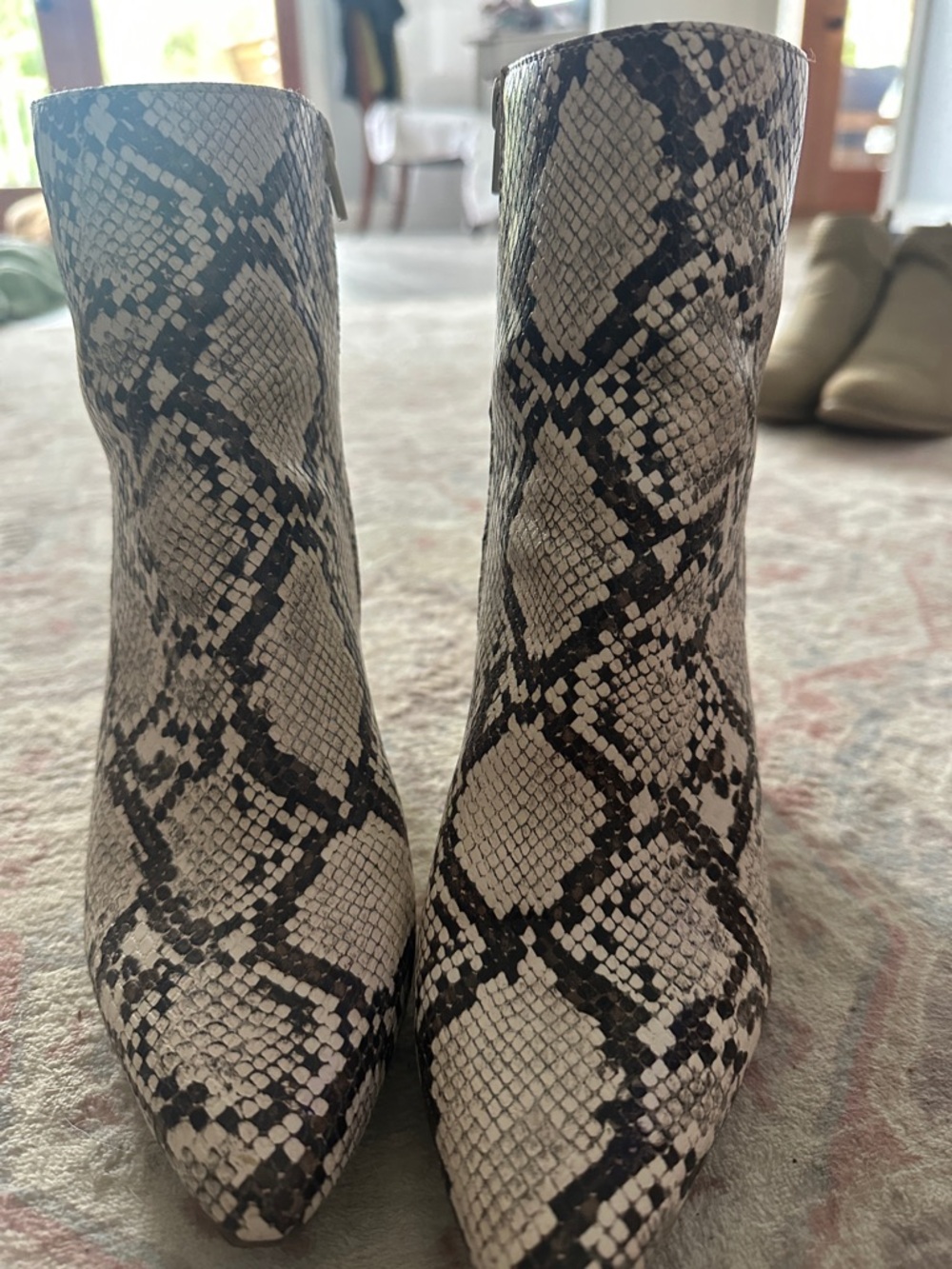 Sugar Black and White Faux Snakeskin Pointed Toe Ankle Boots